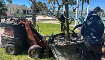 Stump Grinding for Busy Beaver Stump Removal, Inc in Clearwater, FL
