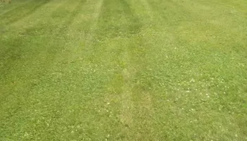 Mowing for Mark's Lawn Care in Mount Pleasant, TN