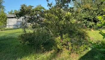 Mowing for Young's Lawn Services LLC in Ocala, FL
