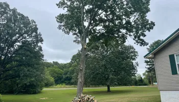 Tree Removal for Ross Family Tree Service LLC  in Hohenwald, TN