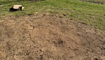 Tree Removal for Oakley’s Stump ‘N Grind in Leander, TX