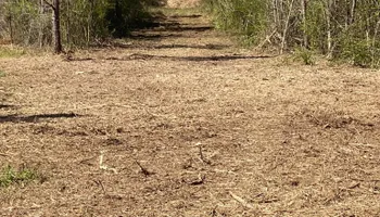 Land Clearing for South Mississippi Land Management LLC in Columbia, Mississippi