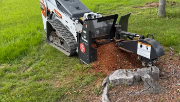 Tree Removal for Kadin’s Tree Service in North Vernon, IN