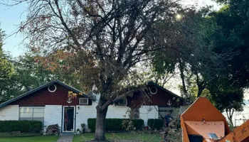 Tree Removal for Year Round Trees & Concrete Inc. in Fort Worth, TX