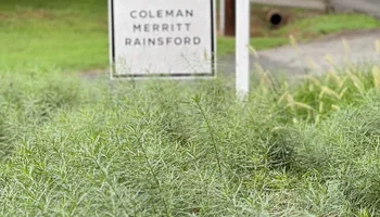 Erosion Control / Water Management for Christina King Landscape Design in West Raleigh, NC