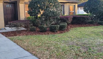 Tree Trimming for Highlife Tree Care And Landscaping in Altamonte Springs, FL