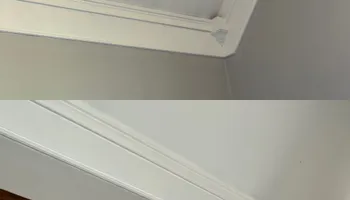 Painting and Drywall for Camalett Services in Perry, GA