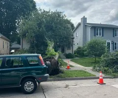 Tree Removal for Allstate Tree Service and Crane in Spring Lake Park, MN