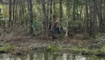 Land Clearing for Dirty South Land Management  in Robertsdale, AL