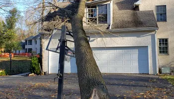 Tree Trimming & Removal for Freedom Outdoor Services in Glen Mills, PA