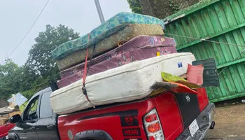 Yard Debris Clean Up for Moma Services Junk Removal Trash Removal Hauling & Donation in Baltimore, MD