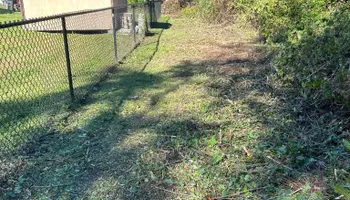 Fall Clean Up for Estrada All Pro Lawn Service in Auburndale, Florida