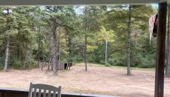 Land Clearing for Clarke Excavation Co. in Covington, VA