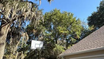 Tree Removal for Hawkins Tree Service & Land Management in Richmond Hill, GA