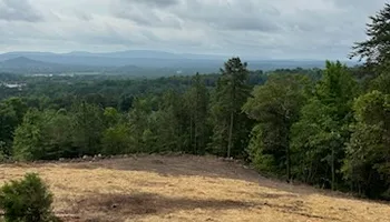 Land Clearing for A.P Land Management in Atlanta, Ga