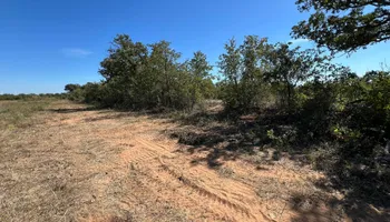 Land Clearing for D&D Custom Services in Jacksboro,  TX