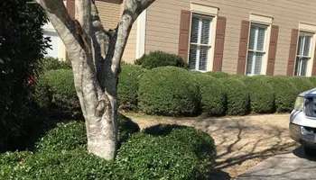 Mowing for BCS Land WorX in Waco, TX