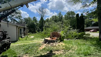 Tree Removal for Kadin’s Tree Service in North Vernon, IN