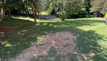 Tree Removal for Meade tree service in Greensboro, NC