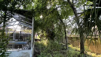 Tree Removal for Elevation Tree Service in Holiday, FL