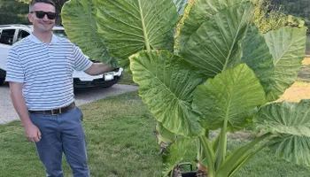 Custom Outdoor Living Spaces for RI Outdoor Living  in Charlestown, Rhode Island