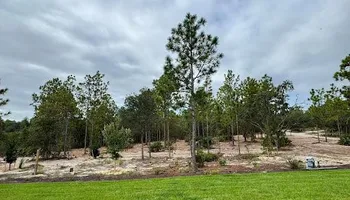 Land Clearing & Demolition for All American Excavating Inc in Brooksville,  FL