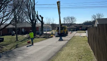 Tree Removal for SMITHs Tree Service in Columbus, IN