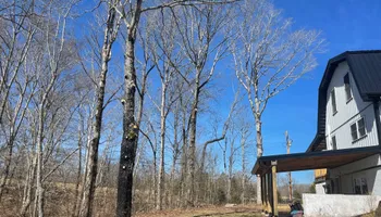 Tree Removal for Ross Family Tree Service LLC  in Hohenwald, TN