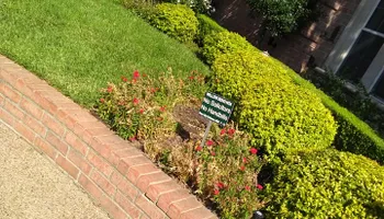 Lawn Maintenance for Green City Landscape and Lawn Care LLC in Mesquite, TX