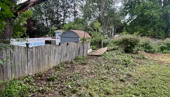Tree Removal for Licensed to Cut Tree Service in Athens, PA