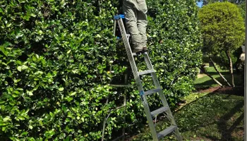 Lawn Maintenance for Marty's Lawn Service in Green Cove Springs, FL
