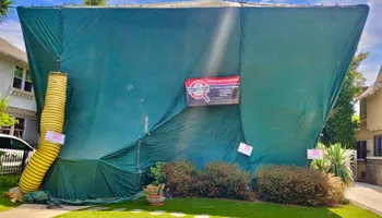 Termite Inspections for Termite Team Company in Los Angeles, CA