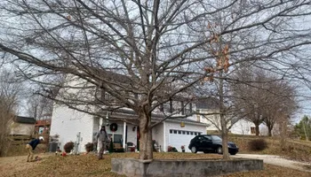 Tree Removal for MTJ Tree Removal LLC in Zebulon, NC