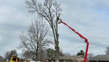 Tree Removal for SMITHs Tree Service in Columbus, IN