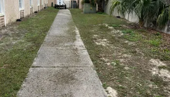 Fall Clean Up for Estrada All Pro Lawn Service in Auburndale, Florida
