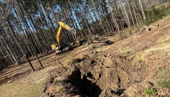 Land Clearing & Demolition for Beards Creek Construction in Grantsboro, NC