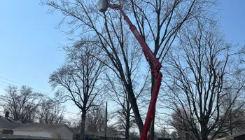 Tree Removal for SMITHs Tree Service in Columbus, IN