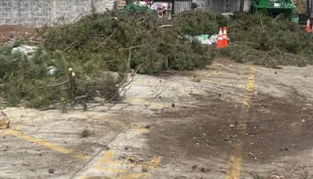 Tree Removal for DGD Outdoor Services LLC in Howell, MI
