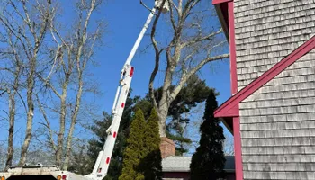 Tree Removal for Robery's Tree Service in West Wareham, MA