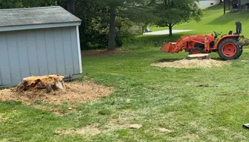 Tree Removal for Gray’s Tree Service Inc in Maurertown, VA