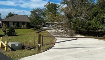 Tree Removal for H3 Land Management in Centerville, TX