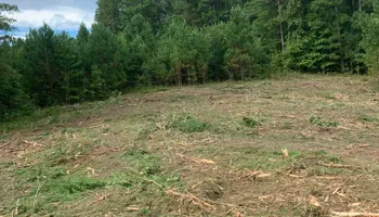 Land Clearing for A.P Land Management in Atlanta, Ga