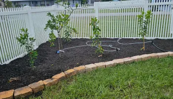 Lawn Care & Maintenance for Above the Lawn Cuts in Sebring, FL