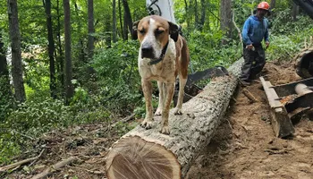 Hauling for Class Act Earthworx in Elizabethton, TN