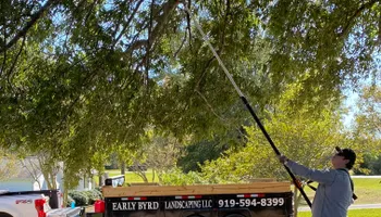 Gravel Driveway Install for Early Byrd Landscaping & Lawn Care  in Angier, NC