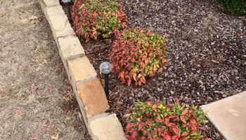 Tree Removal & Trimming for Teague Trees and Land Clearing in Rendon, TX
