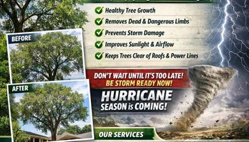 Tree Trimming for Highlife Tree Care And Landscaping in Altamonte Springs, FL