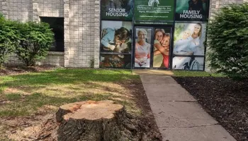 Residential Tree Services for TH Property Service, LLC in Manlius, NY