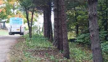 Tree Care for Buffalo Family Tree Care in Buffalo, MN