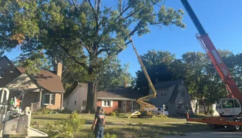 Tree Removal for Fransen's Tree Service  in Freeport, IL